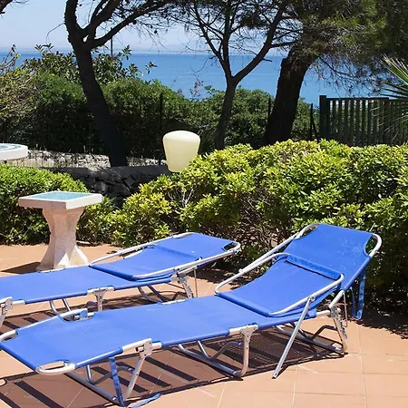Delfino San Vito Lo Capo