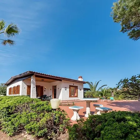 Delfino San Vito Lo Capo